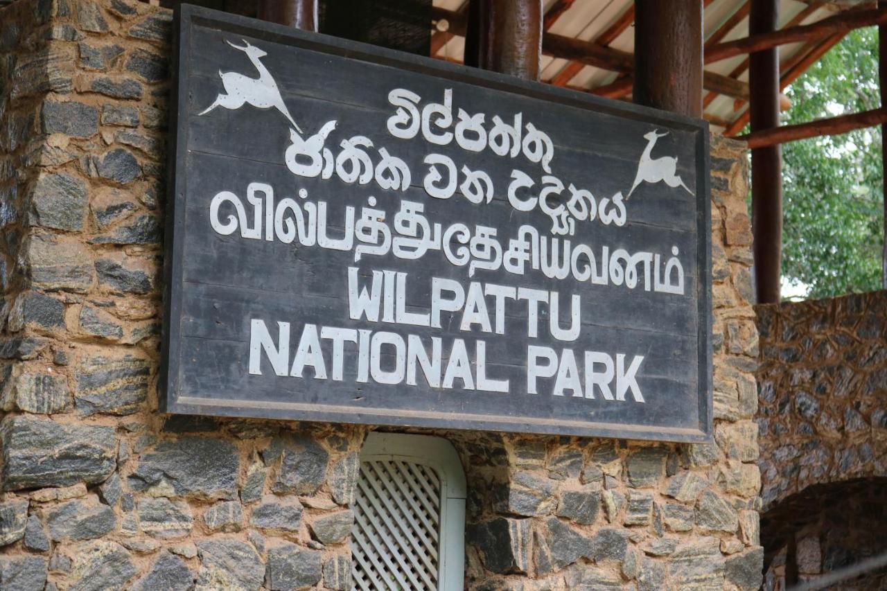 Divine Villa Anuradhapura Εξωτερικό φωτογραφία